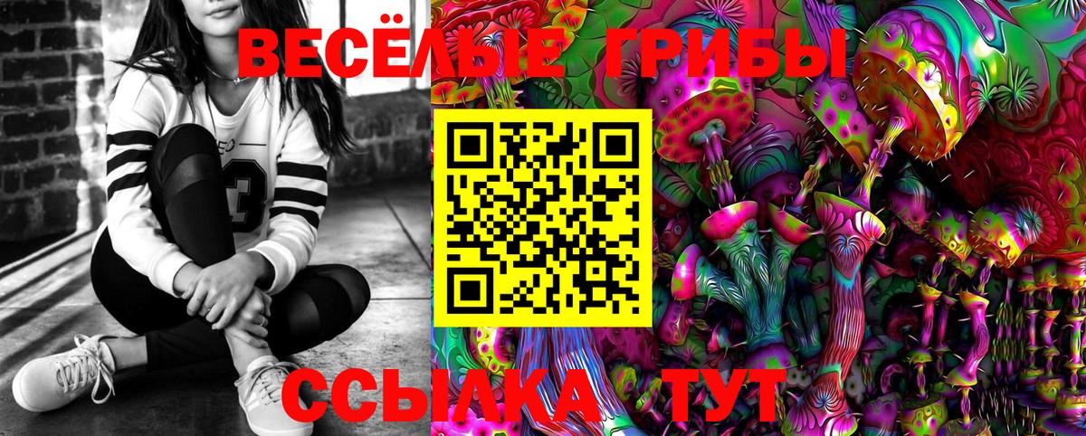 Галлюциногенные грибы прущие грибы Губкин