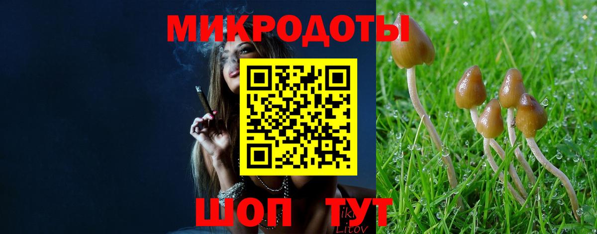 Губкин  Псилоцибиновые грибы GOLDEN TEACHER  Вход с VPN 